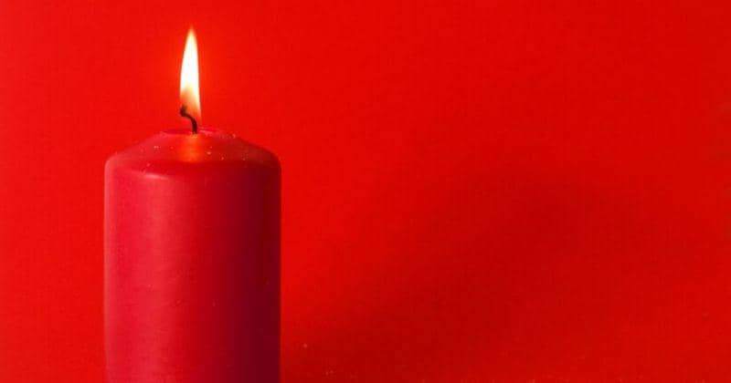 Freepik/bedneyimages